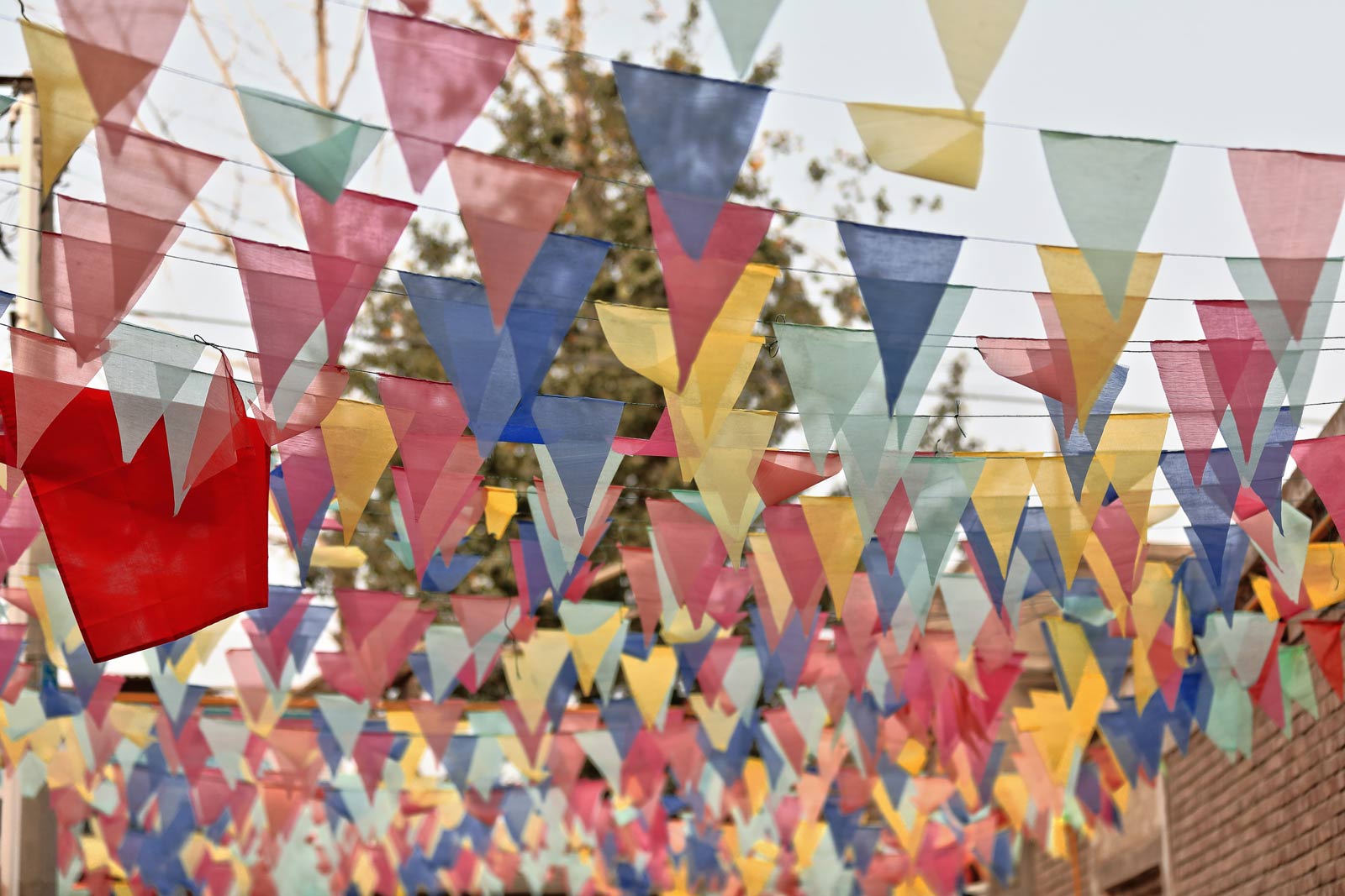 Printed decorations for festivals